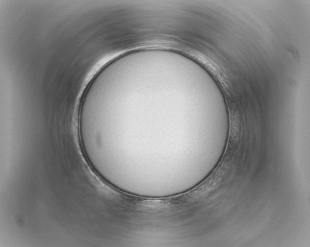 X0000115821478200912041617