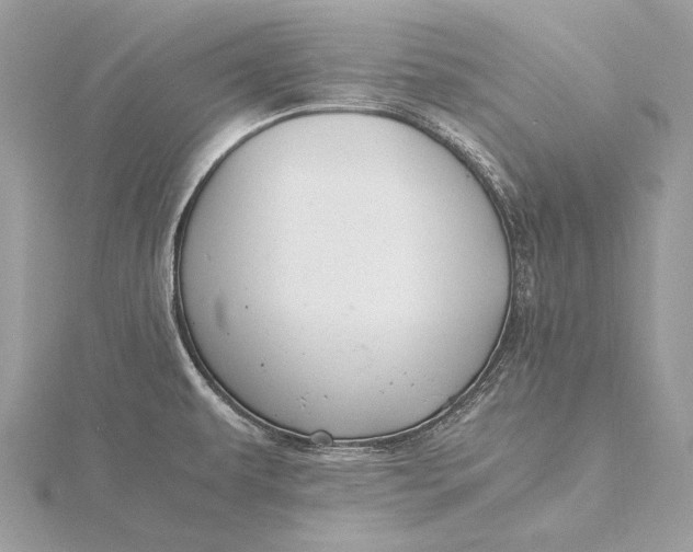 X0000115821479200912041617