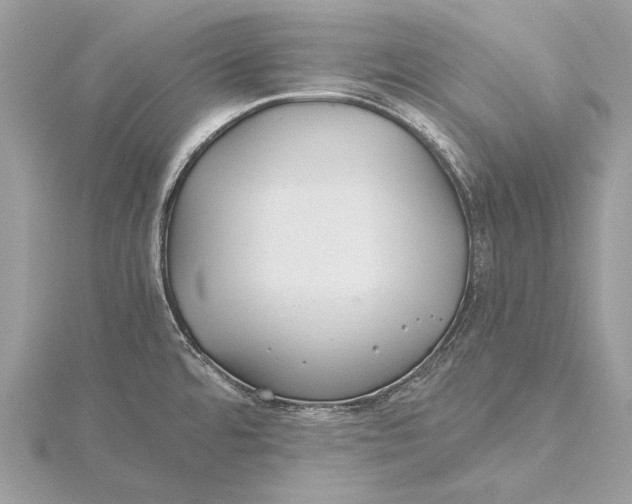 X0000115821480200912041617