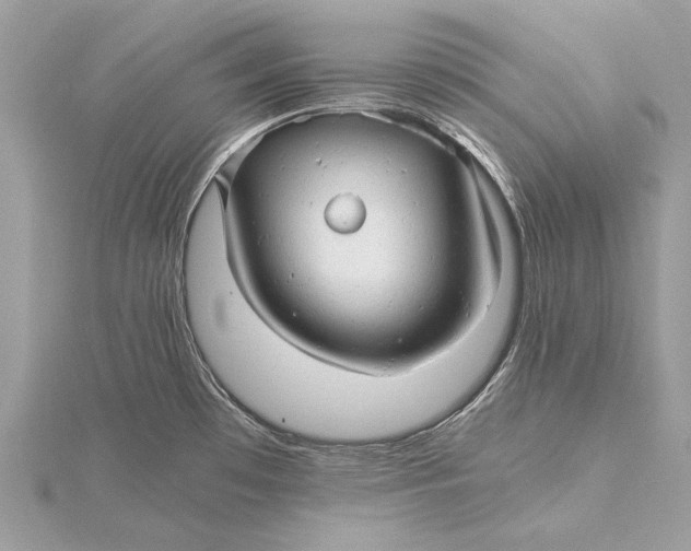 X0000115821481200912041617