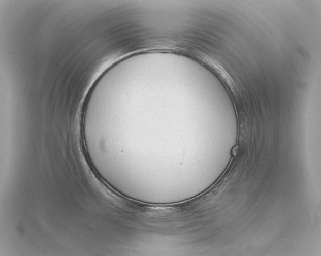 X0000115821483200912041617