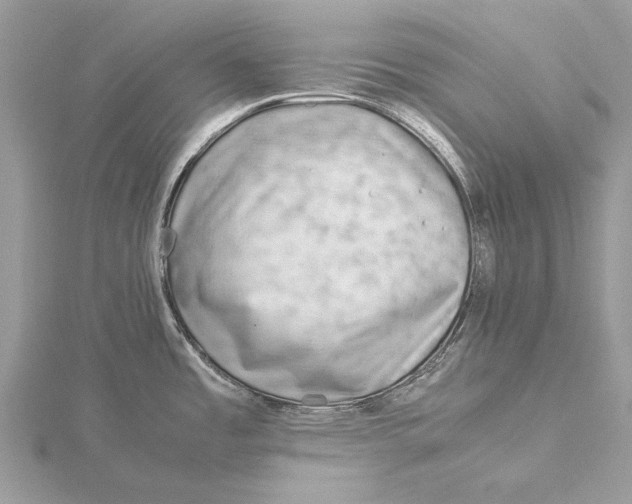 X0000115821485200912041617