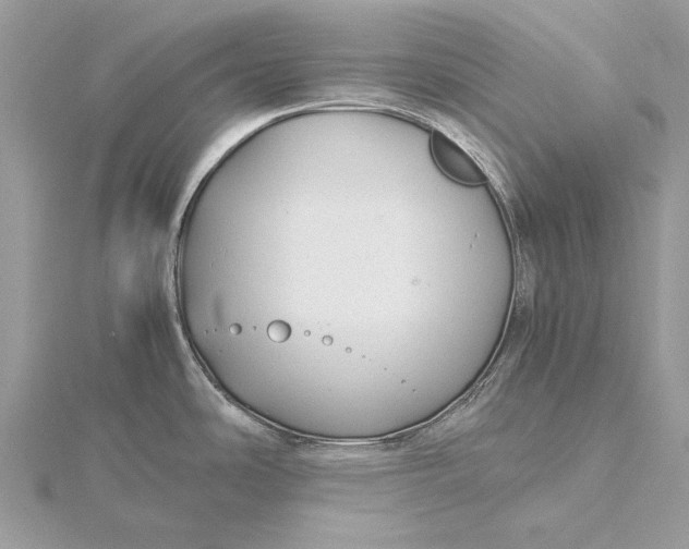 X0000115821486200912041617