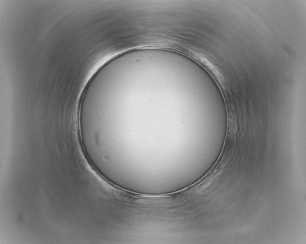 X0000115821487200912041617