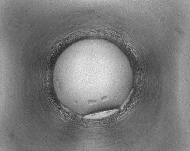 X0000115821490200912041616