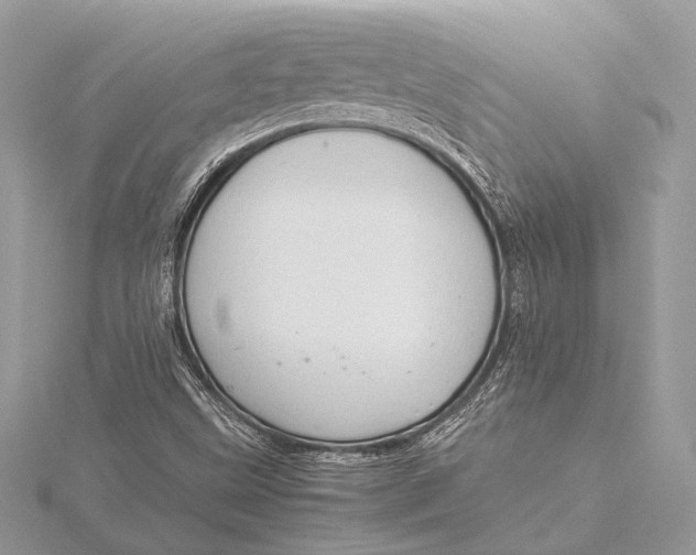 X0000115821499200912041616