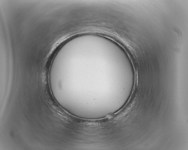 X0000115821501200912041617