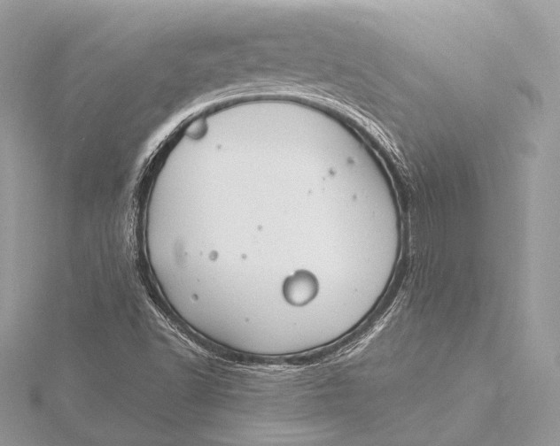 X0000115821502200912041617