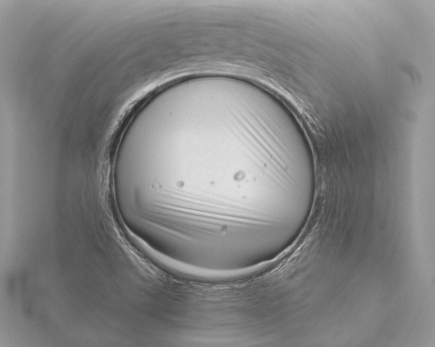 X0000115821507200912041617