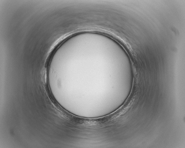 X0000115821509200912041617