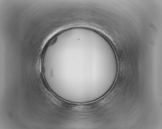 X0000115821510200912041617