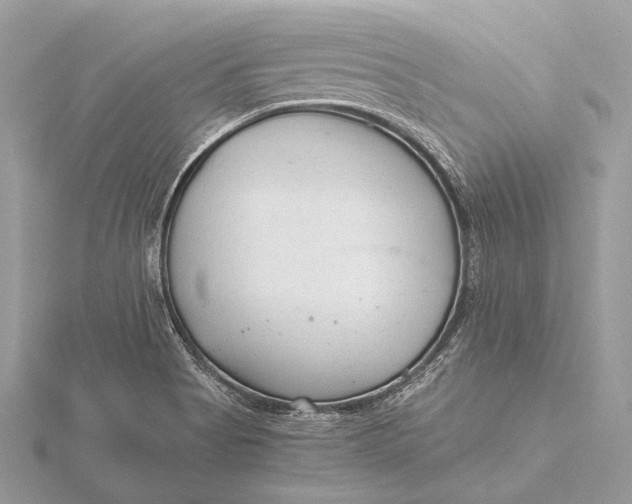 X0000115821513200912041617