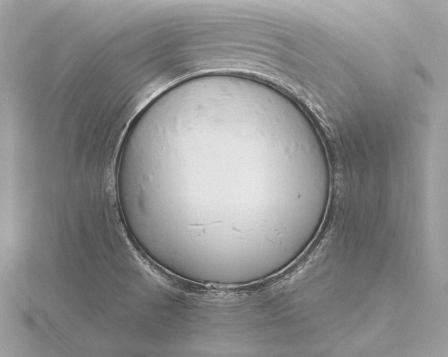 X0000115821521200912041617