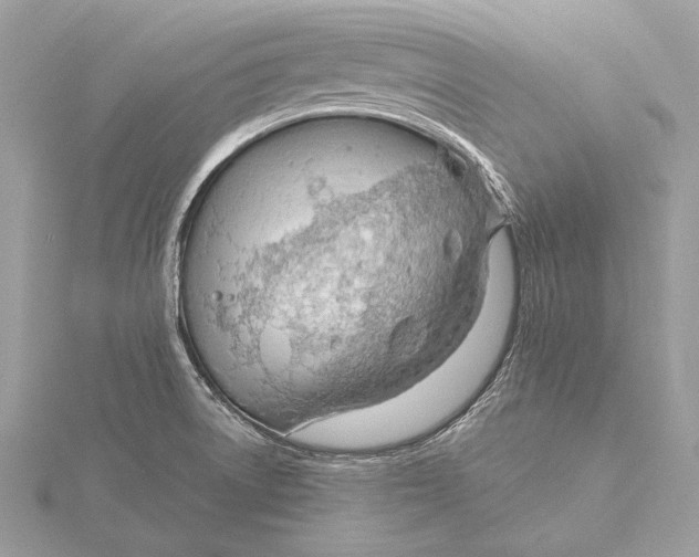 X0000115821522200912041617