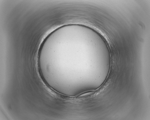 X0000115821525200912041617