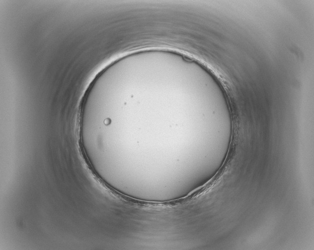 X0000115821526200912041617