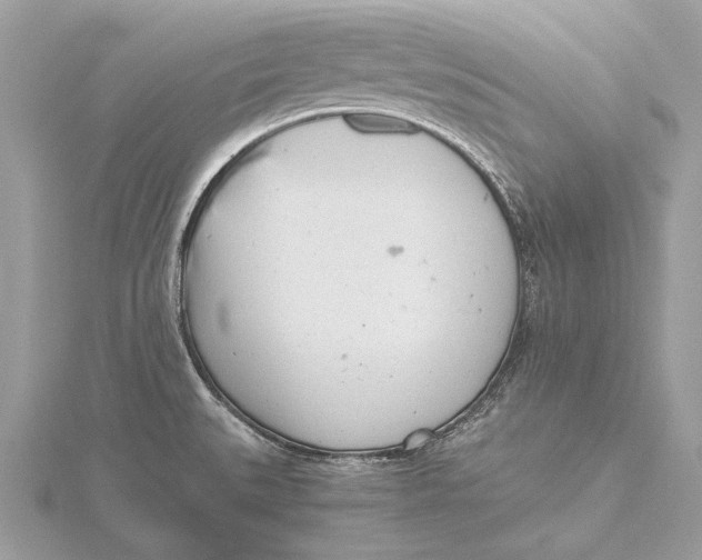 X0000115821527200912041617