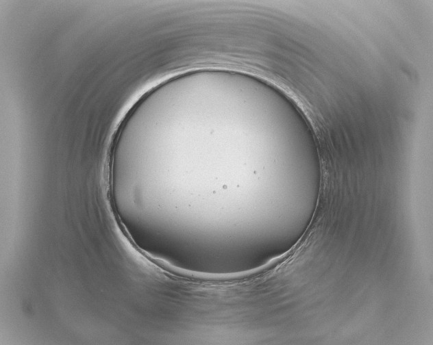 X0000115821531200912041617