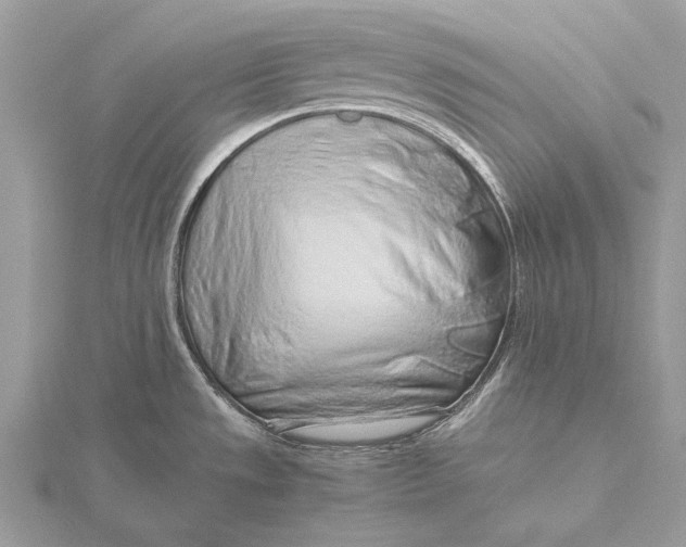 X0000115821533200912041617