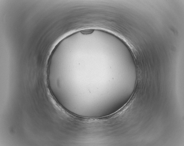 X0000115821534200912041617