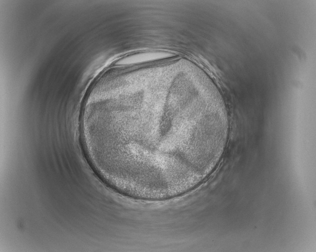 X0000115820002200912111301