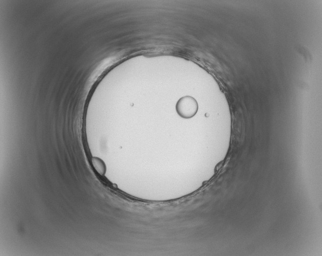 X0000115820003200912111301