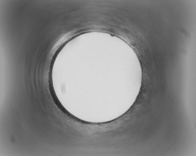 X0000115820007200912111301