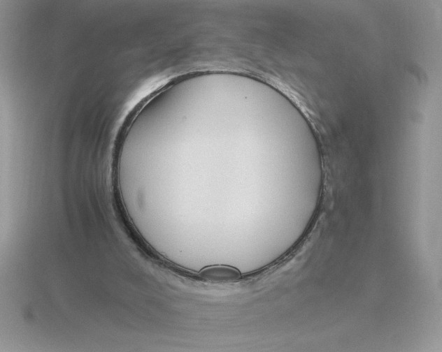 X0000115820008200912111301