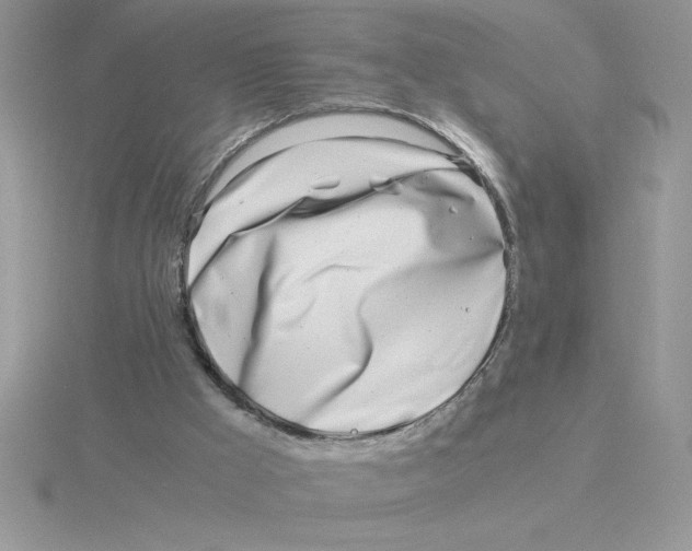 X0000115820009200912111301