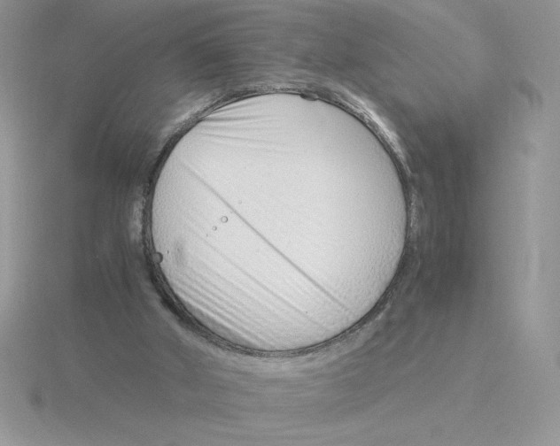 X0000115820010200912111301