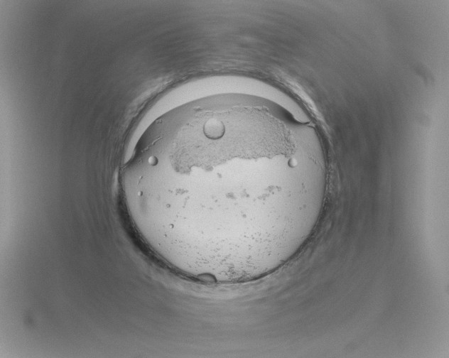 X0000115820019200912111301