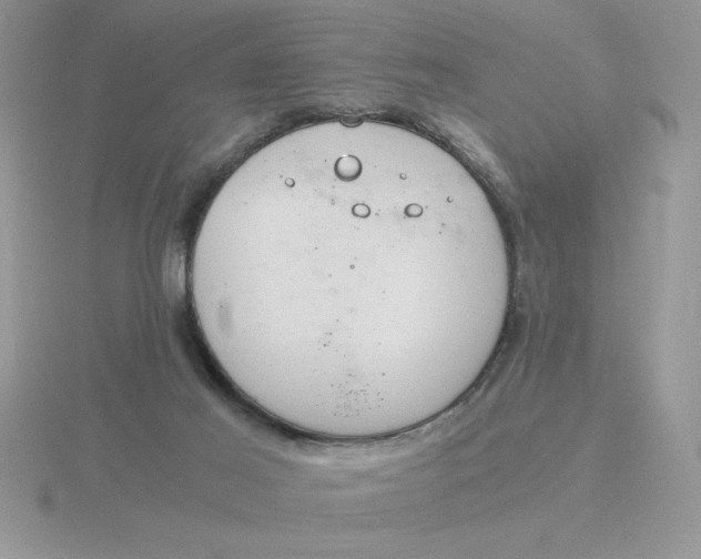 X0000115820021200912111301