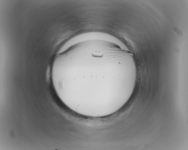 X0000115820024200912111301