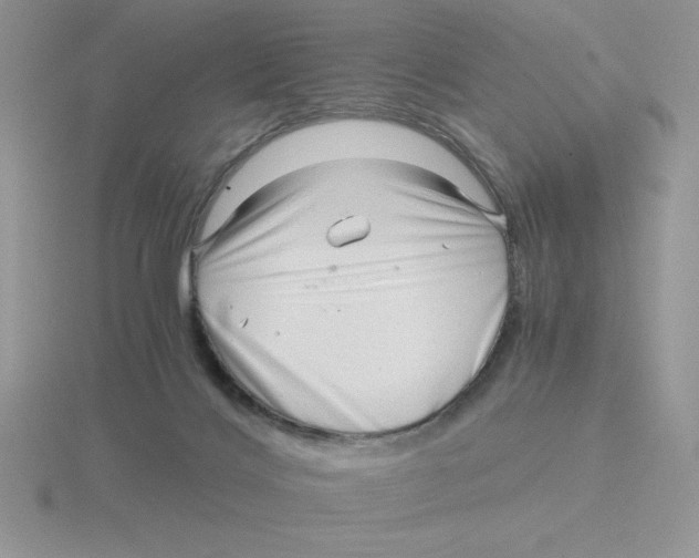 X0000115820028200912111301