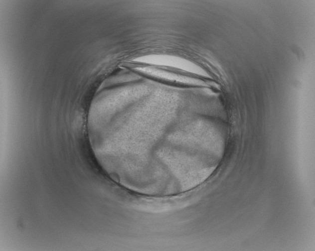 X0000115820029200912111301