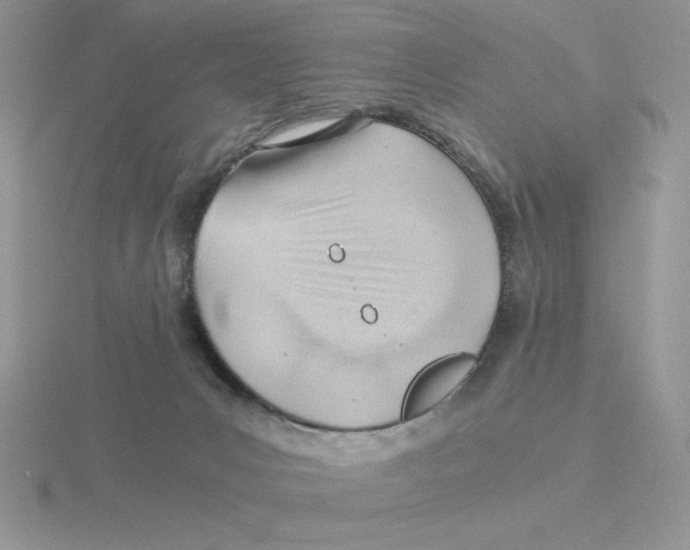 X0000115820031200912111301