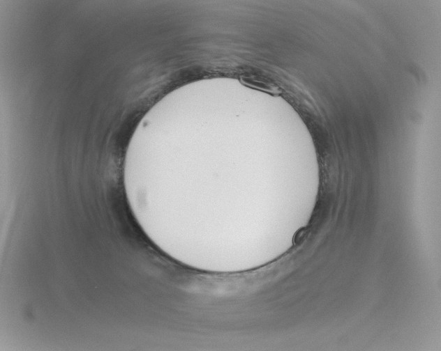 X0000115820033200912111301