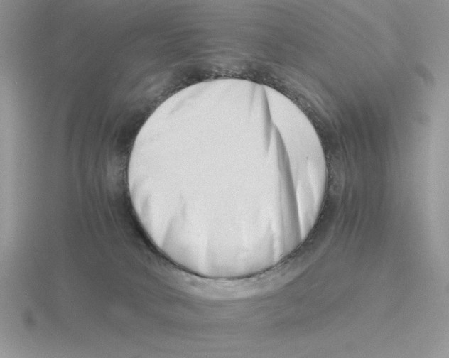 X0000115820034200912111301