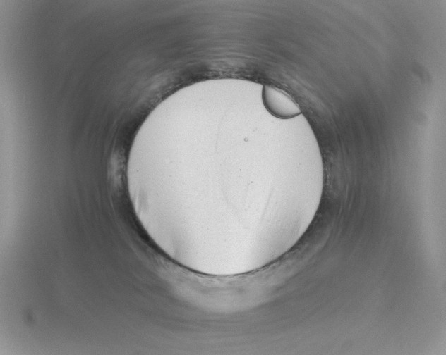 X0000115820038200912111301