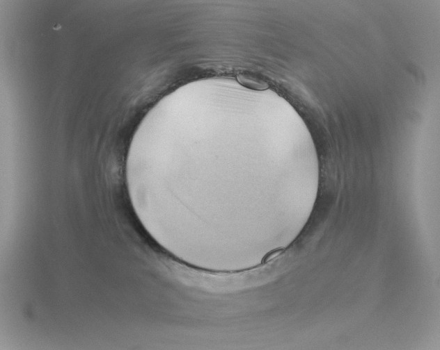 X0000115820039200912111301