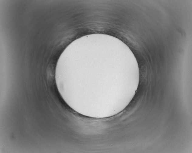 X0000115820040200912111301