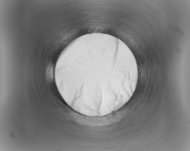 X0000115820042200912111301