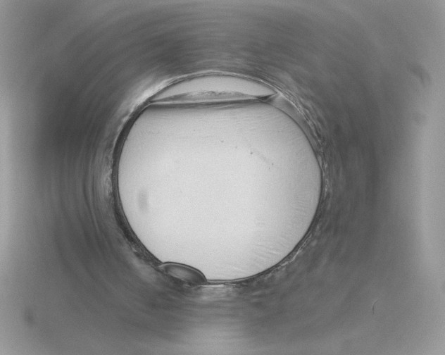 X0000115820050200912111300