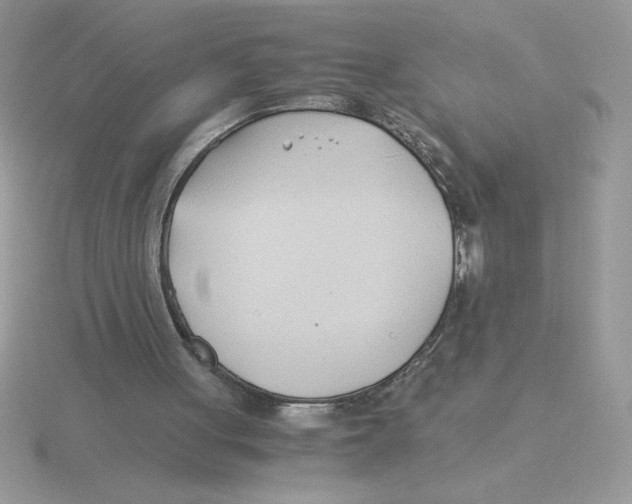 X0000115820051200912111300