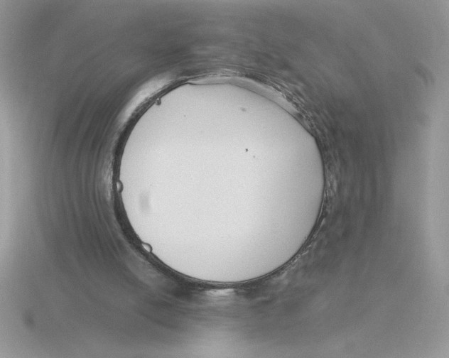 X0000115820054200912111300