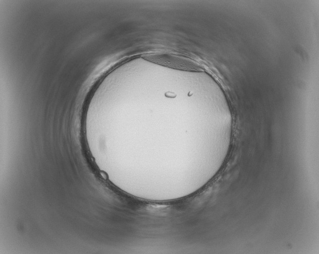 X0000115820055200912111300