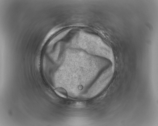 X0000115820056200912111300