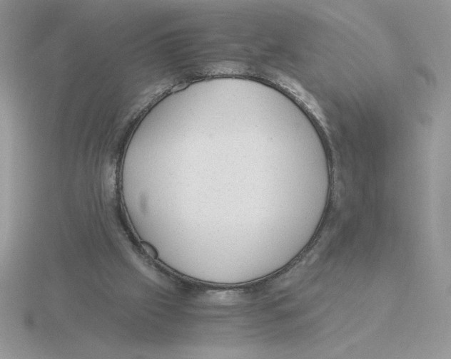 X0000115820057200912111300