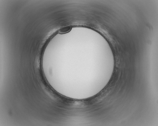 X0000115820060200912111300