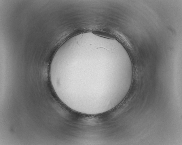 X0000115820065200912111300